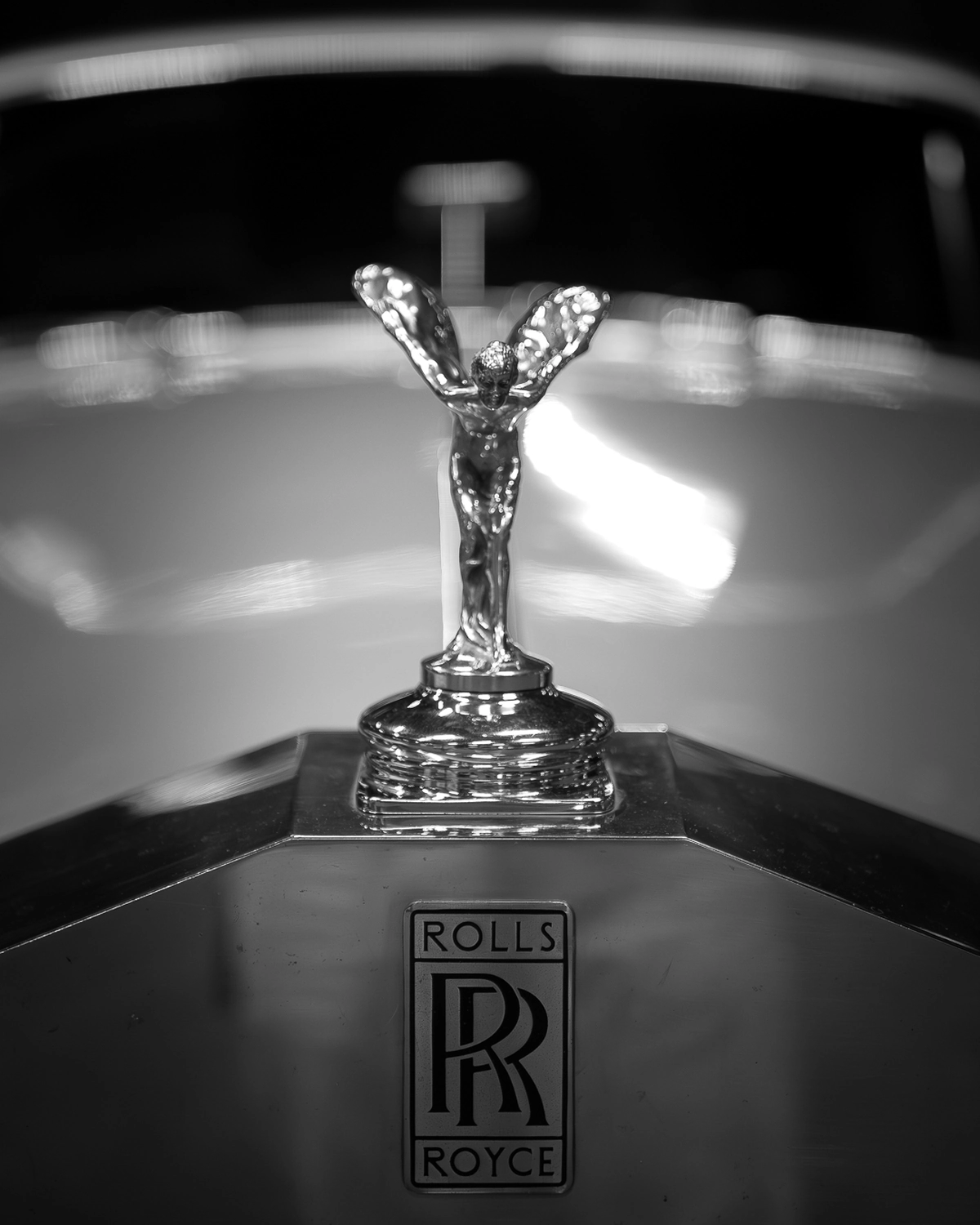 Image 3 du salon AutoMoto&Co à Strasbourg du photographe Nathan Maurer.